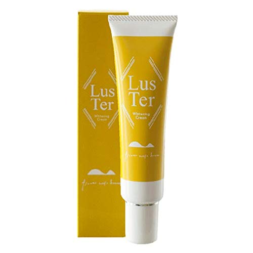 y򕔊OizLusTer |X^[N[i60j[pZN[]