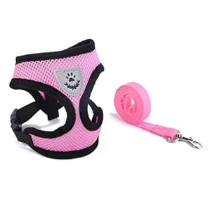Soft Mesh No Pull Cat Harness and Lead Set for Walking, Escape Proof Kitten Vest Harnesses for Small Animals Rabbit/Mouse/Cats,Cool Cat Collar,lead and collar for a kitten(pink)