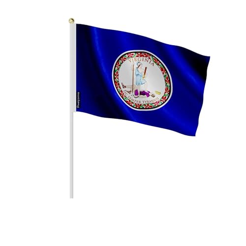 Drapeau Virginie 30x45 cm pour décorer vos soirées à thème américain