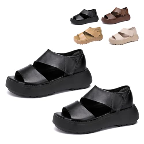 [REENEW] O T_ fB[X  O T_ fB[X ₷   T_ fB[X ItBX  5.5cm  y ~ r ʋCK L (23.0 cm,ubN) [sA