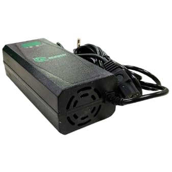 GRAPHY EV Charger, 60V 4A, Compatible with Electric Vehicles-image-28