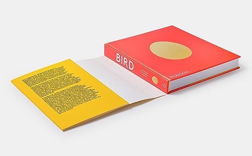 Bird: Exploring the Winged World