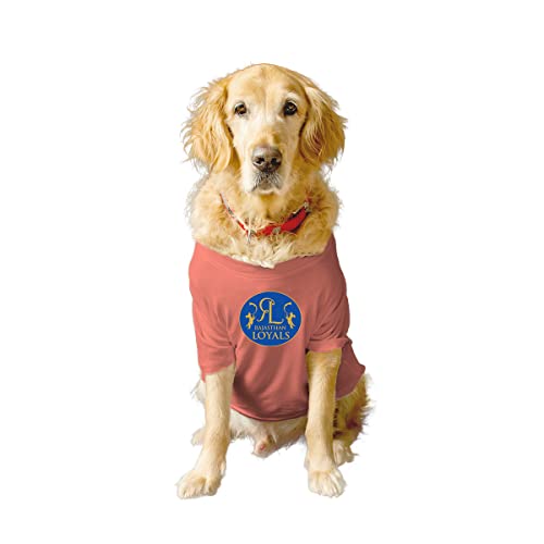 Image of Ruse Crew Neck Half Sleeves T-Shirt for Dogs IPL Replica Rajasthan Loyals Team Dog Cotton Jersey Printed Breathable Tees Apparel for Pet - Gift for Dogs (Retrievers, Labs etc) (Pink, XL)