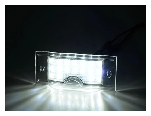 Matrícula siempre visible con las luces de matrícula de coche Trafic 4
