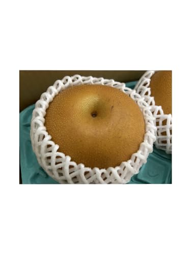栃木産 にっこり梨 【優品】 大玉サイズ 4玉?10玉 贈答用 【10月上旬?11月上旬頃発送日付指定不可】
