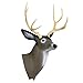 Delta McKenzie Replacement Mule Deer Head