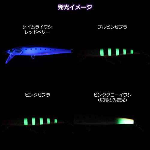 ダイワ(DAIWA) サワラッシュ 110HS 110mm 4枚目