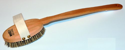 Brosse de massage Wellfit avec manche dos et cellulite