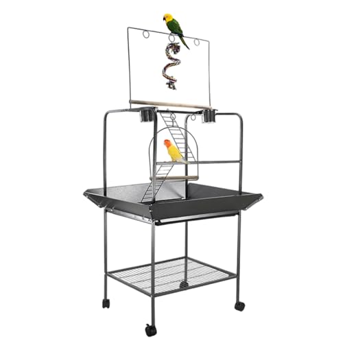 Small Parrot Playstand with Wheels, 62 Inch Bird Playstand, Bird Stand Activity Play Center with Perches and Ladders, Indoor Outdoor Playground for Birds with Swing Black Hammertone Finish