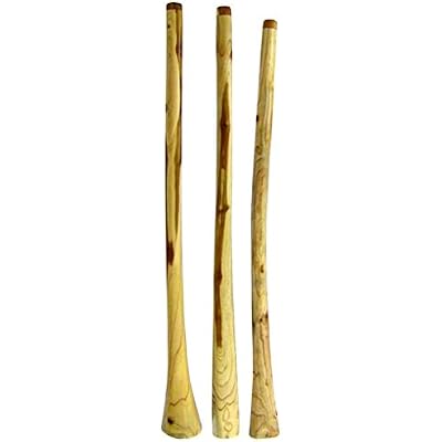 Didgeridoo Teak (3814013-F)