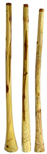 Didgeridoo Teak (3814013-F) #TOP1