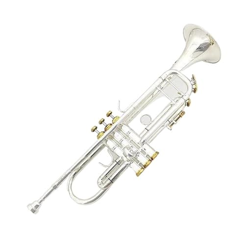 gybg gybg  LT199GS-97 Btbg vtFbVigybgxgbv yP[XANZT[(Silver)