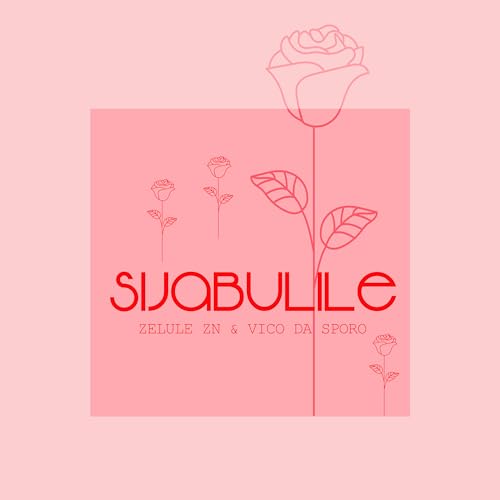 Vico Da Sporo & Zelule zn