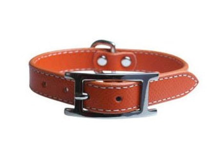 イヌパシー　Sサイズ首輪 オレンジ 待望の新製品！首輪型イヌパシー『イヌパシー・カラー』の先行