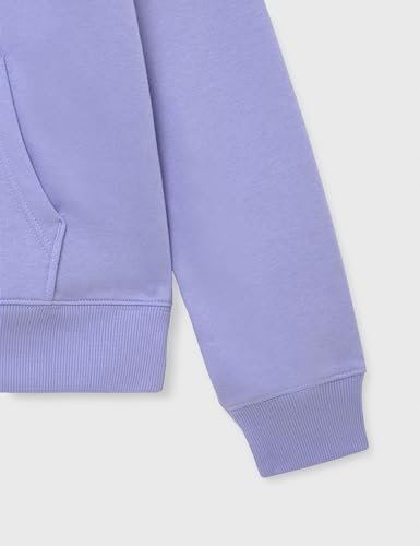 Tommy Jeans Damen Tjw Reg Flag Hoodie Dw0dw19958 Kapuzenpullover, Blue (Vintage Iris), M EU