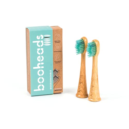 Best Ordo Toothbrush Heads in 2022 What You Need To Know Before You
