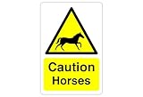 Safety First Display LTD