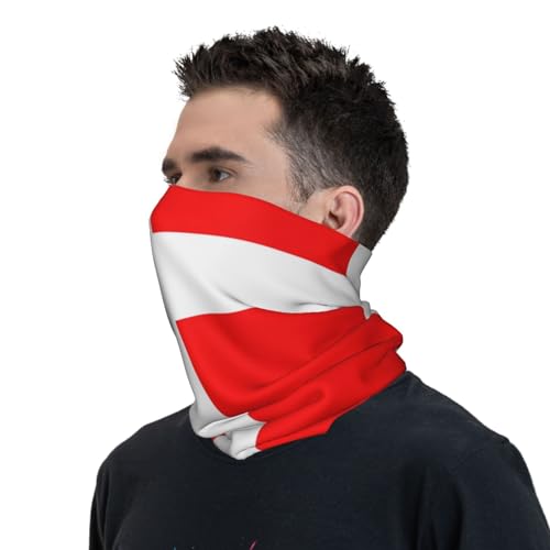 Gargantilla con Estampado de Bandera Danesa para Hombres y Mujeres, Máscara Facial Elástica Versátil, Balaclava Impresa Blanco miniatura 7