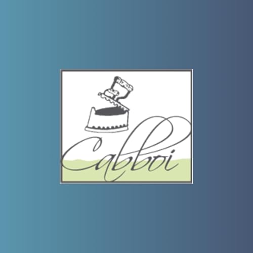 Cabboi s.r.l cover art
