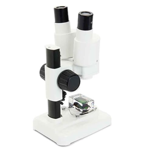 Image of Celestron - Celestron Labs - Binocular Stereo Microscope - 20x Magnification - Upper LED Illumination - Includes 2 Specimens