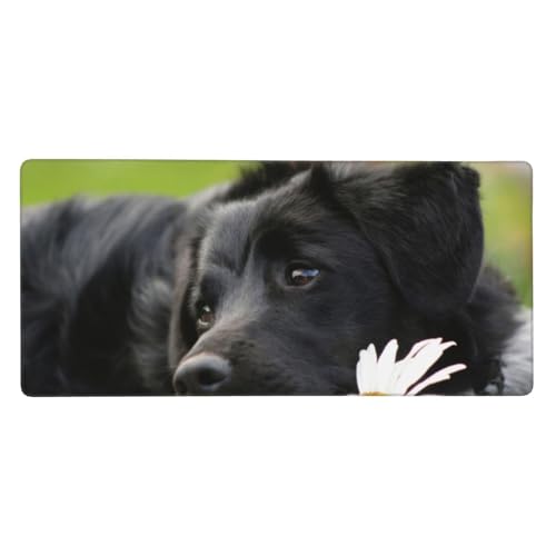 Tapis de souris grand format Labrador noir anti-glisse pour bureau