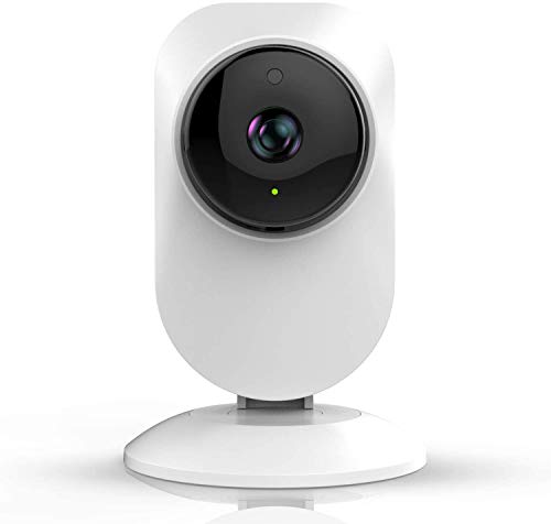 Best Cloud Cameras