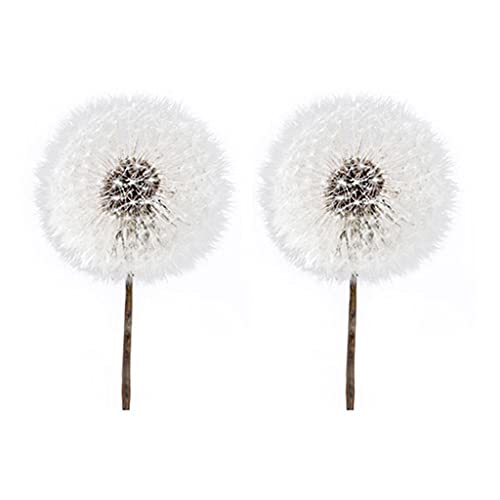 Bingxue 2 uds, Relleno de Resina epoxi de Cristal, Diente de león, Flor Seca, Molde de Resina, Material de Relleno para Manualidades, Arte, joyería, Suministros para Hacer Cover