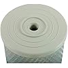 Rainsoft P-12 Hydrefiner Compatible Replacement Water Filter Cartridge - Carbon Block - 1 Count