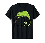 Fibonacci Chameleon Sacred Geometry Golden Ratio
