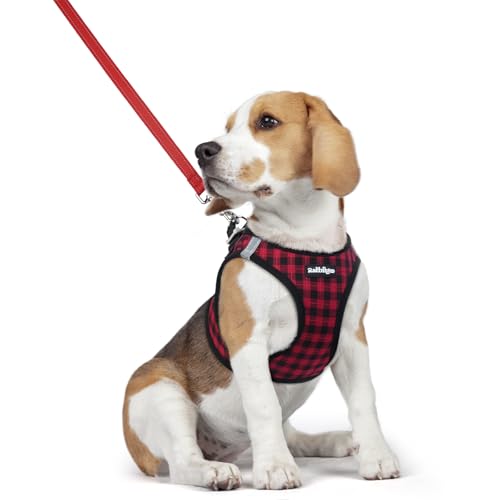 Image of rabbitgoo Dog Harness Medium Sized and Leash Set, Step-in Puppy Pet Vest