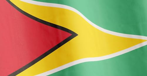 Un Ingegnere in Guyana