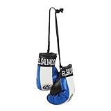 SandT Collection Mini Boxing Gloves - Hanging Punching Gloves - El Salvador