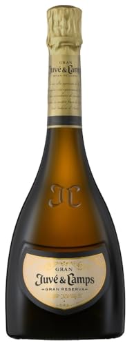 Juvé y Camps - Cava Gran Juve & Camps brut