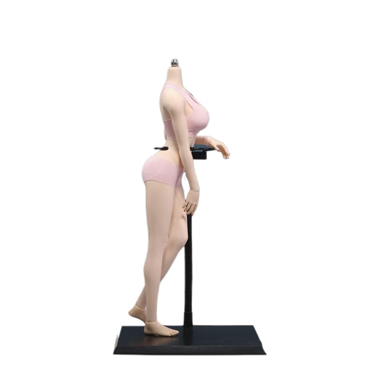 Amazon.com: 1/6 Scale Female Body, 12inch Super Flexible Asian