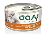 Oasy