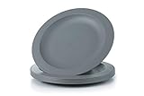 Amuse- Unbreakable and Reusable Plastic Plate Set- BPA Free- Set of 6-9.65 in. (Gray)