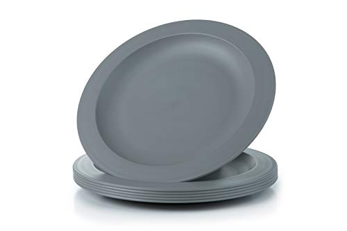 Amuse- Unbreakable and Reusable Plastic Plate Set- BPA Free- Set of 6-9.65 in. (Gray)