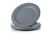Amuse- Unbreakable and Reusable Plastic Plate Set- BPA Free- Set of 6-9.65 in. (Gray)