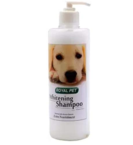Kapoor Pets Royal PET Whitening and Color Enhancing Fresh Dog Shampoo (500 ml) White Royal PET Whitening and Color Enhancing Fresh Dog Shampoo (500 ml) White (B098XDZJRV) Amazon Price History, Amazon Price Tracker