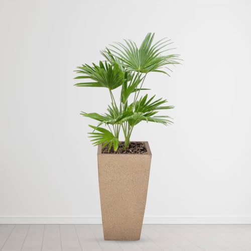 Image of Plastic Planter Pot Gamla 12Inch | 18 Inch | 24 Inch Color White | Black |Beige, 18 Inch (Plant Not Included)