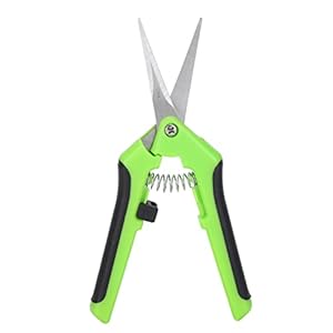 Baxnore Gartenschere Modell V9 Grün