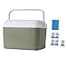 Zxpjkyu Insulated Cooler Case Ice Box Ice Retention Cooler Small Ice Chest for Barbecue Boat, 6L
