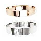 Tong Gu Women Metal Waist Belt Waistband Mirror Wide Gold Silver Plate Metallic Shiny Polished (Silv