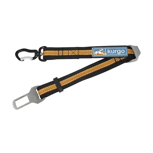 Kurgo Direct to Seatbelt Swivel Tether - Easy-Use Dog Car Harness Clip - Adjustable Ride Strap - Universal Fit for Most Vehicles - All Steel Hardware - Backseat Restraint - Orange