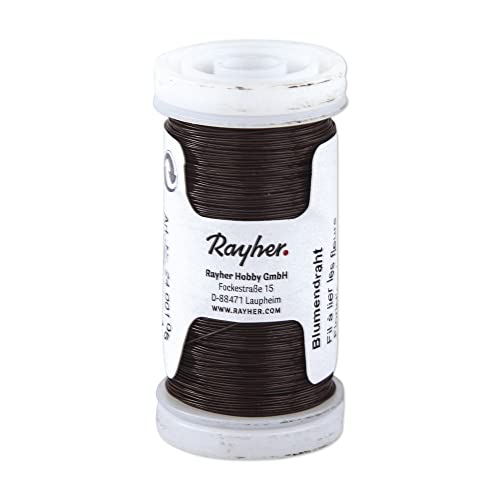 Rayher 2400105 Blumendraht, braun lackiert, 0,35 mm ø, Spule 100 m, Material Eisen, nickelfrei, Basteldraht, Wickeldraht