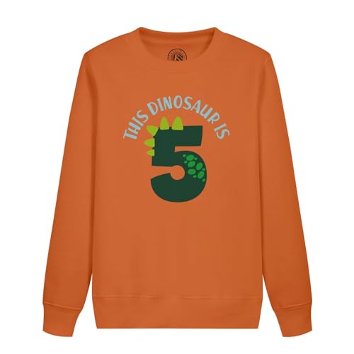 Sweatshirt enfant dinosaure 5 ans cadeau anniversaire