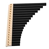 PRETYZOOM Professionelle Panflöte für Anfänger Traditionelles Chinesisches Musikinstrument für Musikunterricht und Schulauftritte Vielseitig Einsetzbar und Benutzerfreundlich