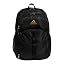 Black/Gold Metallic