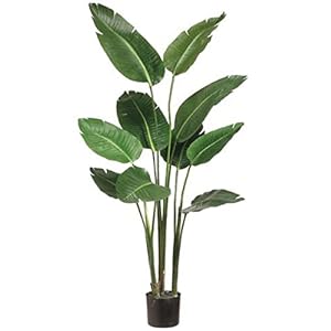 One 5 Foot Artificial Silk Bird of Paradise Palm Tree Potted Plant