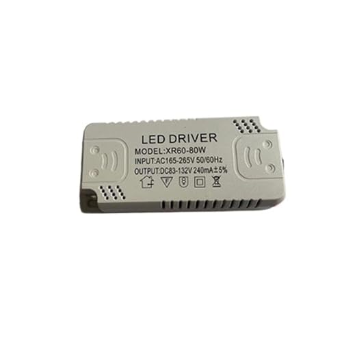 Driver LED 60-80W con conector doble transformador plafon techo 1